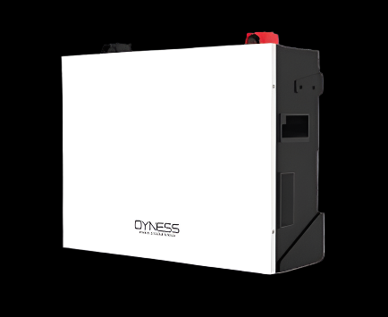 LITHIUM BATTERIES Dyness 5KWH