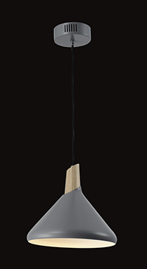 E27 PENDANT LIGHT KP31695-1B(Rose gold)