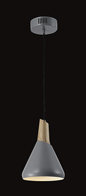 E27 PENDANT LIGHT KP31695-1C